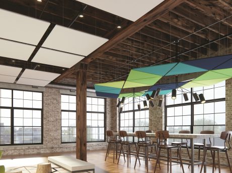 USG Ceiling Technix™